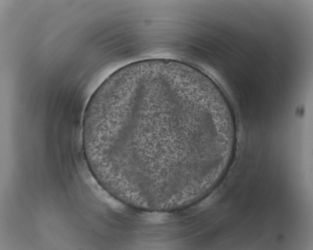 X0000111811236200908131452