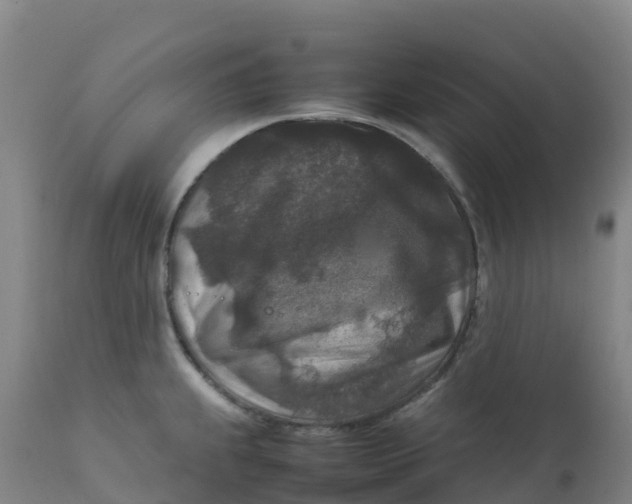 X0000111811239200908131452
