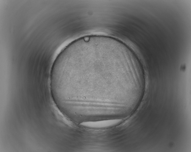 X0000111811240200908131452