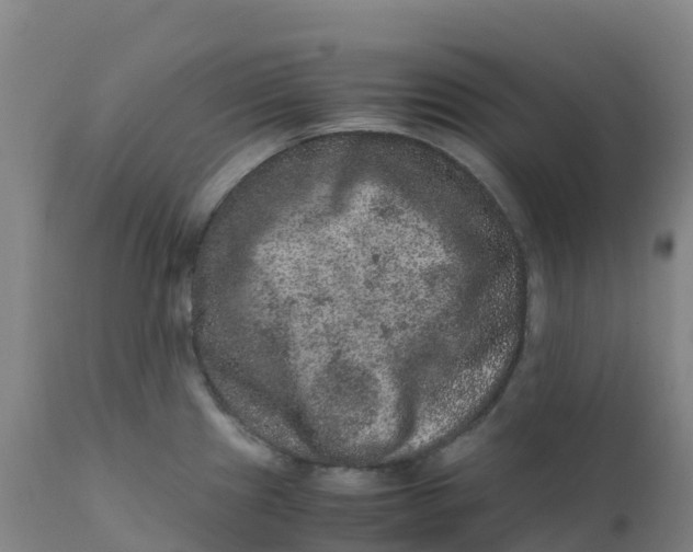 X0000111811241200908131452