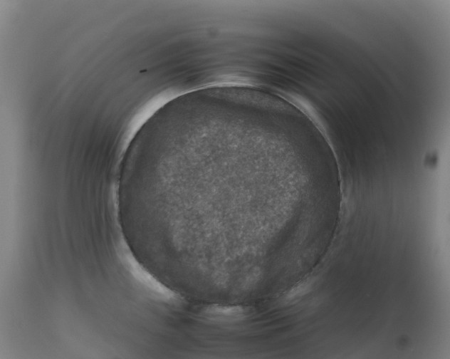 X0000111811243200908131452