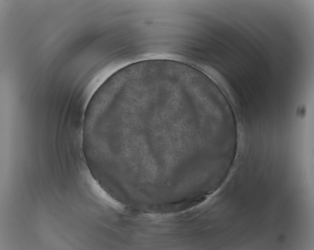 X0000111811244200908131452