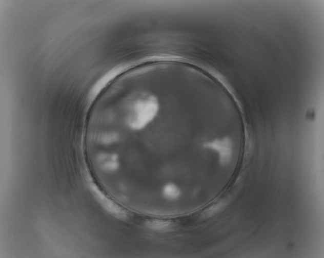 X0000111811245200908131452
