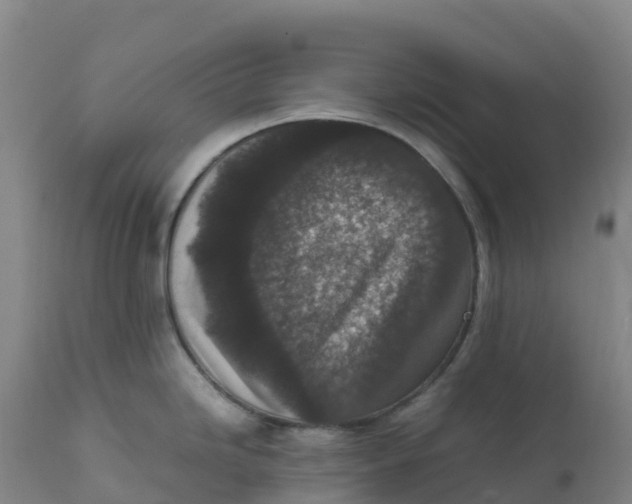 X0000111811246200908131452