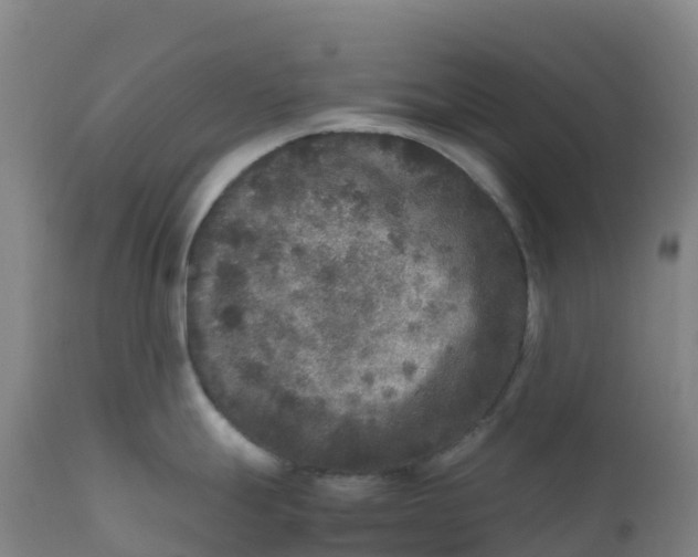 X0000111811247200908131452