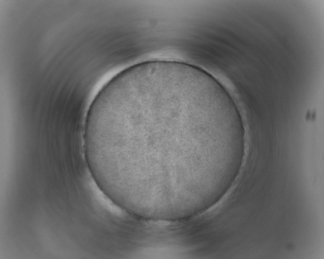 X0000111811248200908131452