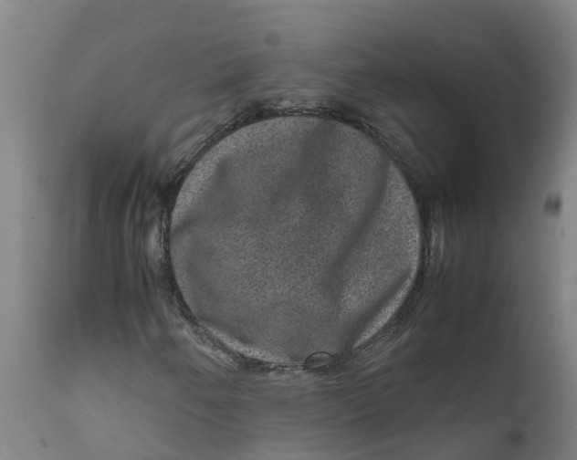 X0000111811250200908131451