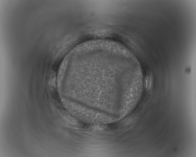 X0000111811251200908131451