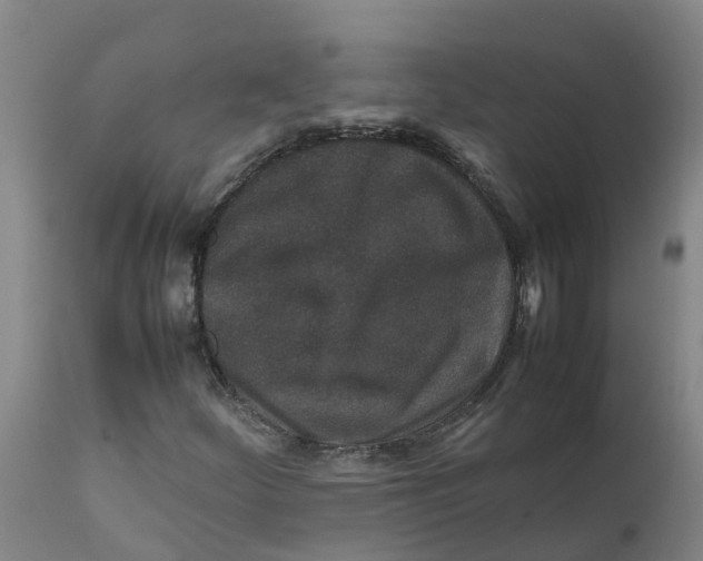 X0000111811252200908131451