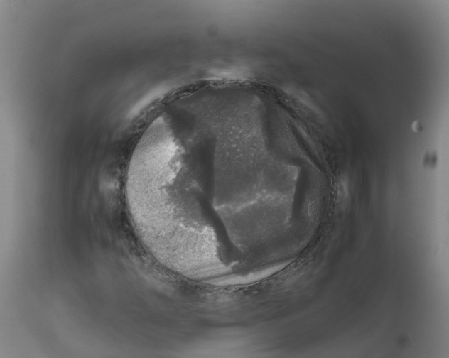 X0000111811254200908131451