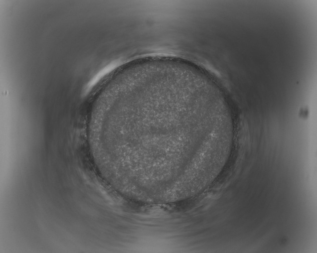 X0000111811255200908131451