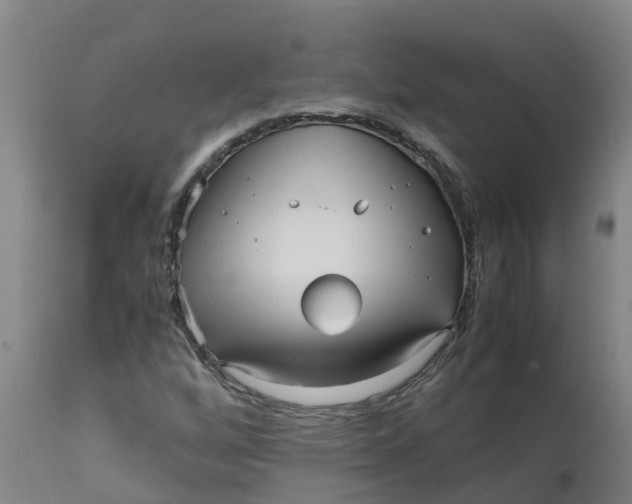 X0000111811256200908131451