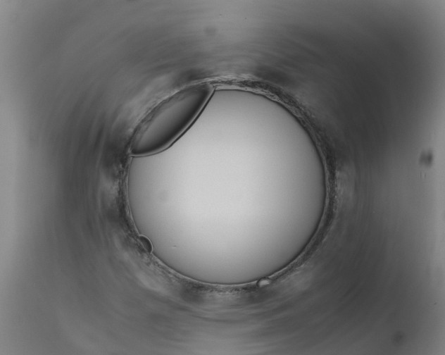X0000111811257200908131451