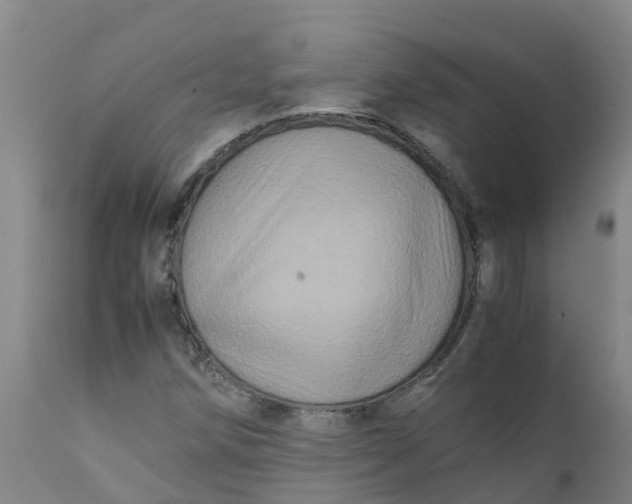 X0000111811258200908131451
