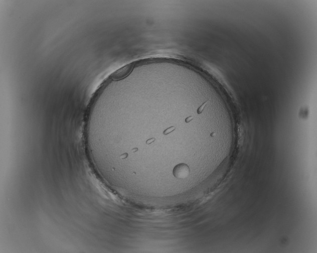 X0000111811260200908131451