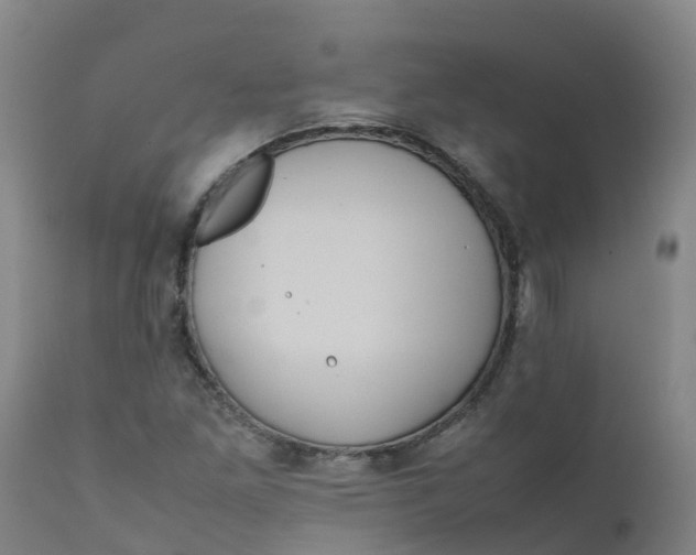 X0000111811261200908131451