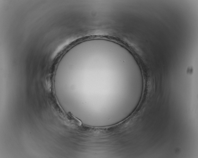 X0000111811262200908131451