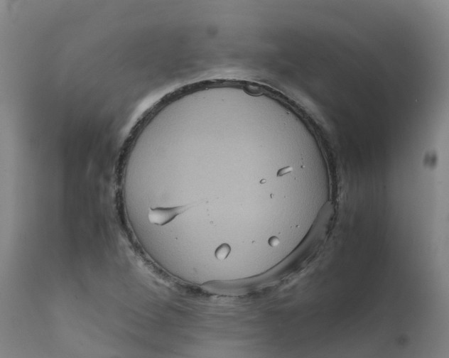 X0000111811264200908131451