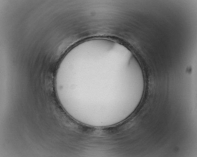 X0000111811265200908131451