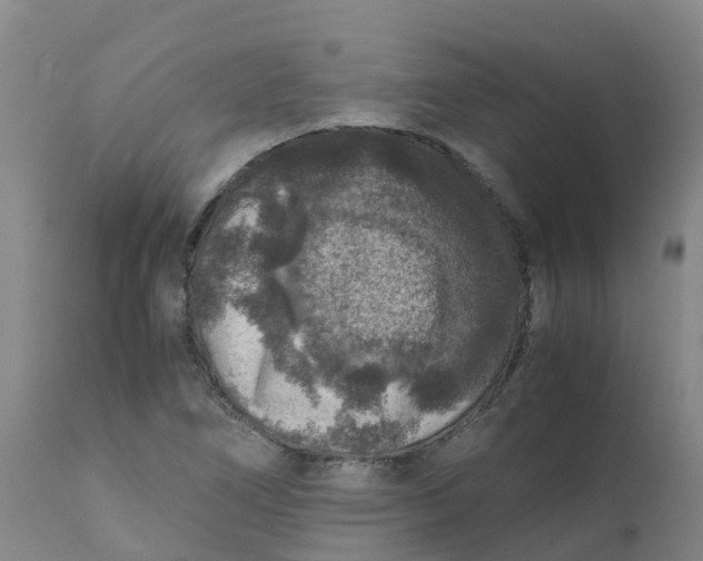 X0000111811266200908131451