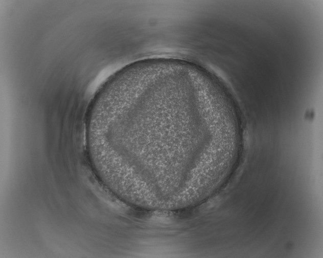 X0000111811267200908131451