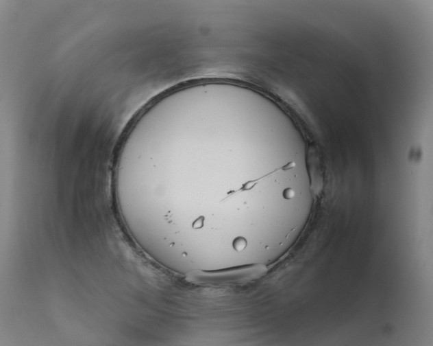 X0000111811268200908131451