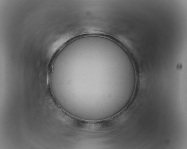 X0000111811269200908131451