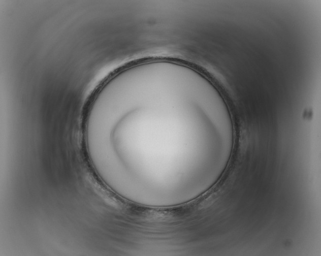 X0000111811270200908131451