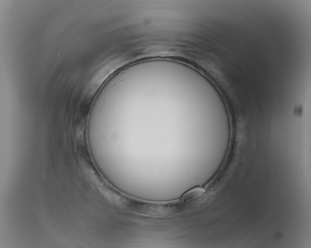 X0000111811273200908131451