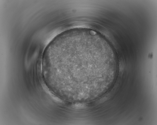X0000111811274200908131451