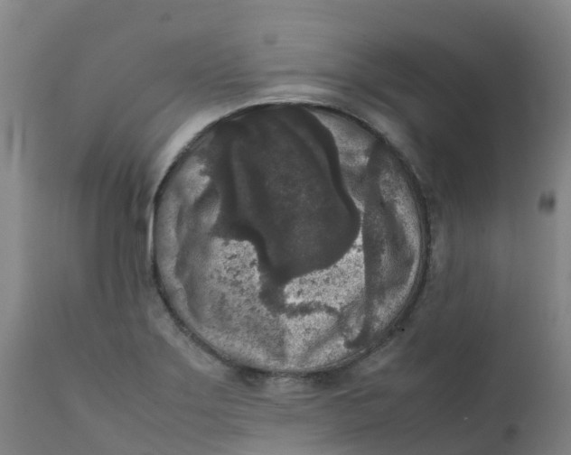 X0000111811275200908131451