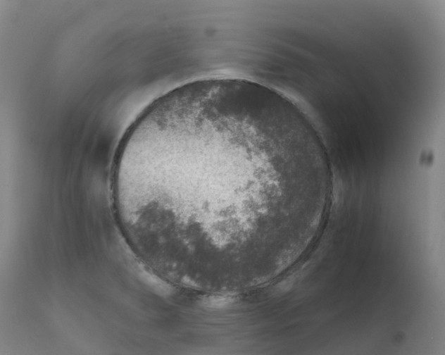 X0000111811278200908131451