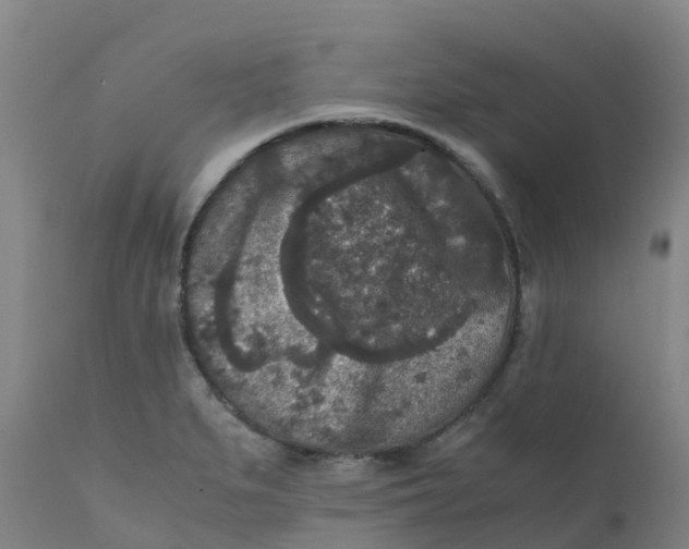X0000111811279200908131451