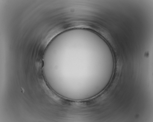 X0000111811281200908131451
