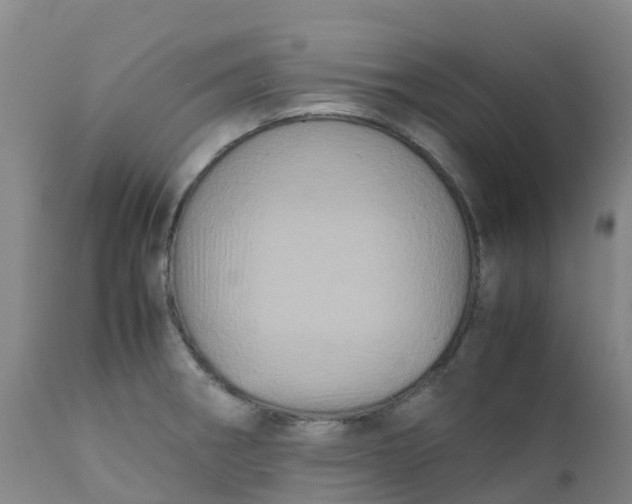 X0000111811282200908131451