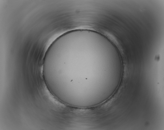 X0000111811284200908131451