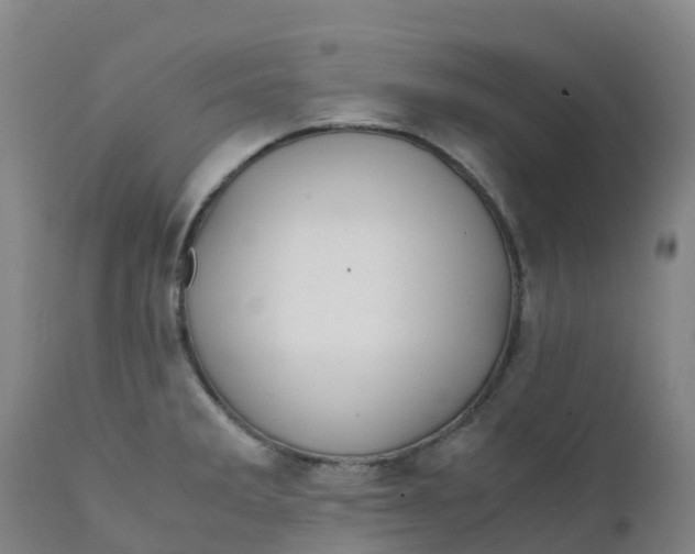 X0000111811285200908131451