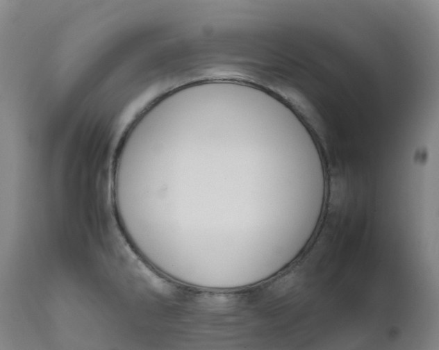 X0000111811286200908131451