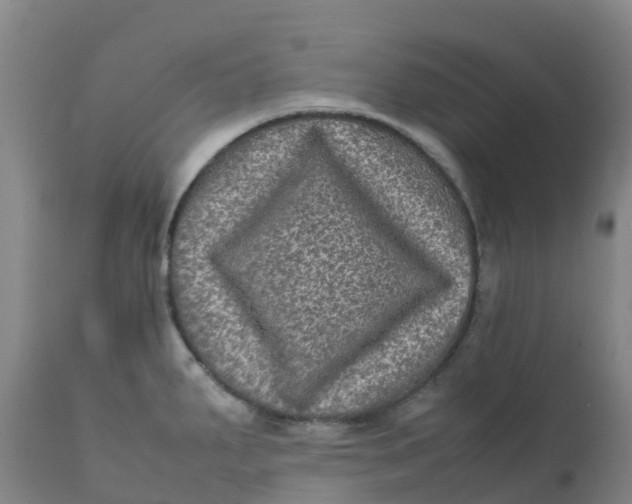 X0000111811287200908131451