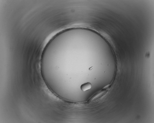 X0000111811288200908131451