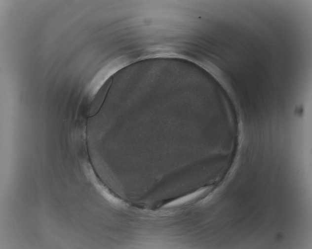 X0000111811289200908131451