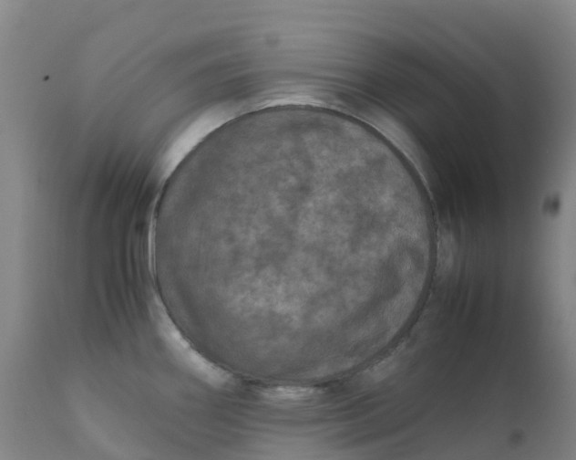 X0000111811290200908131451