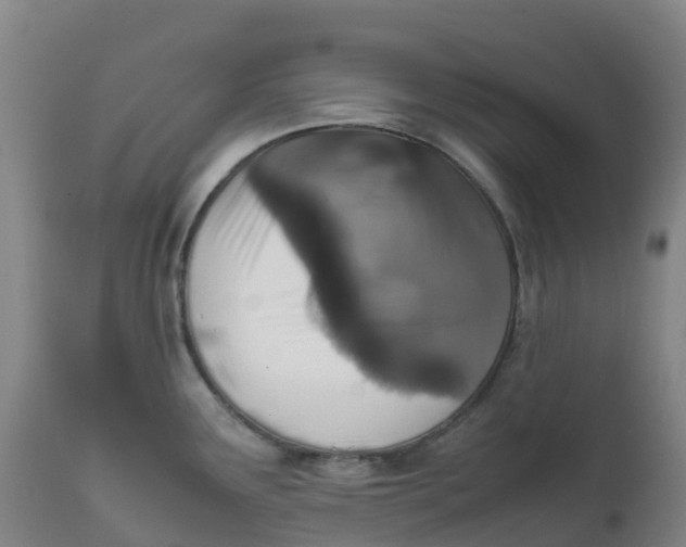 X0000111811291200908131451