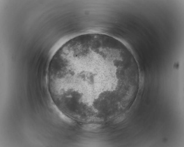 X0000111811294200908131451