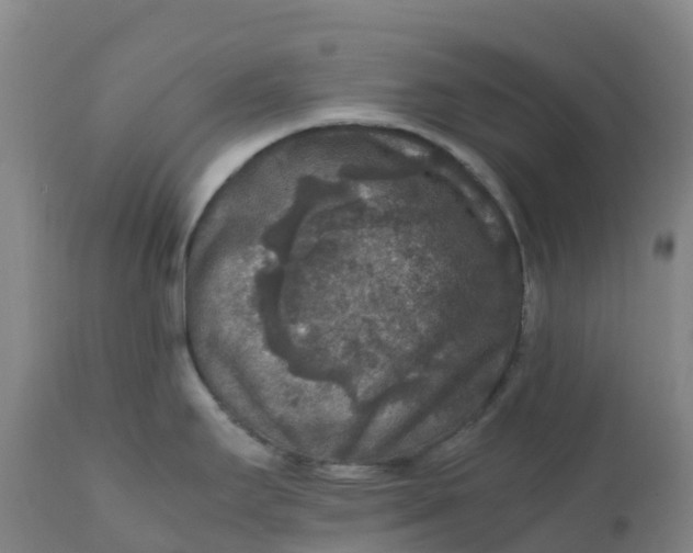 X0000111811295200908131451