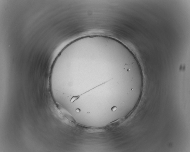 X0000111811296200908131451