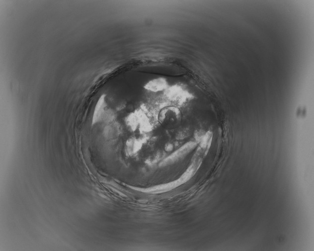 X0000111811297200908131450
