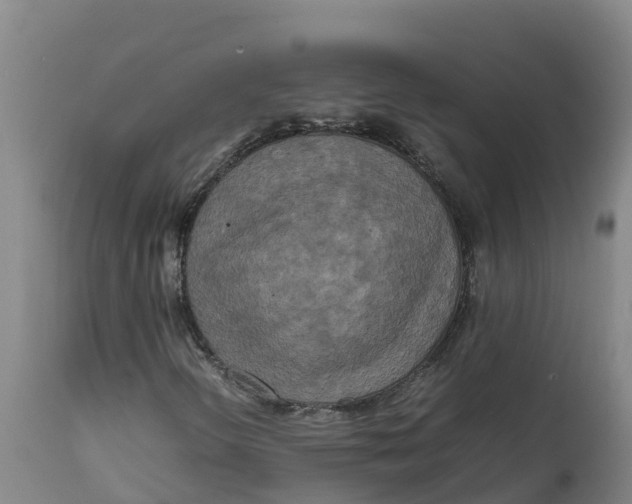 X0000111811298200908131450