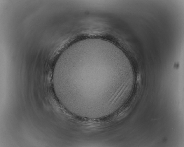 X0000111811300200908131450