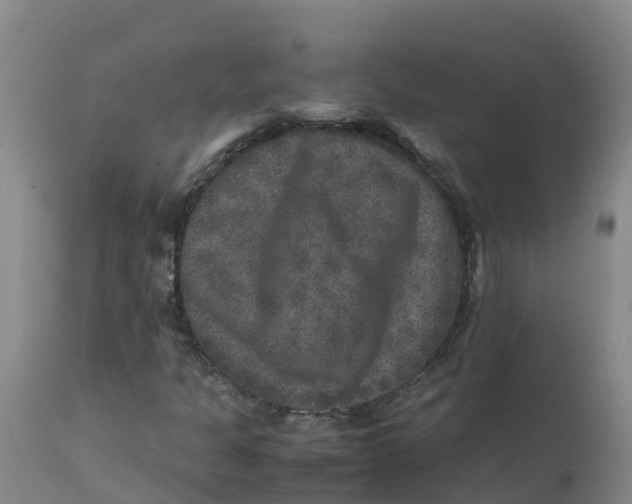 X0000111811301200908131450
